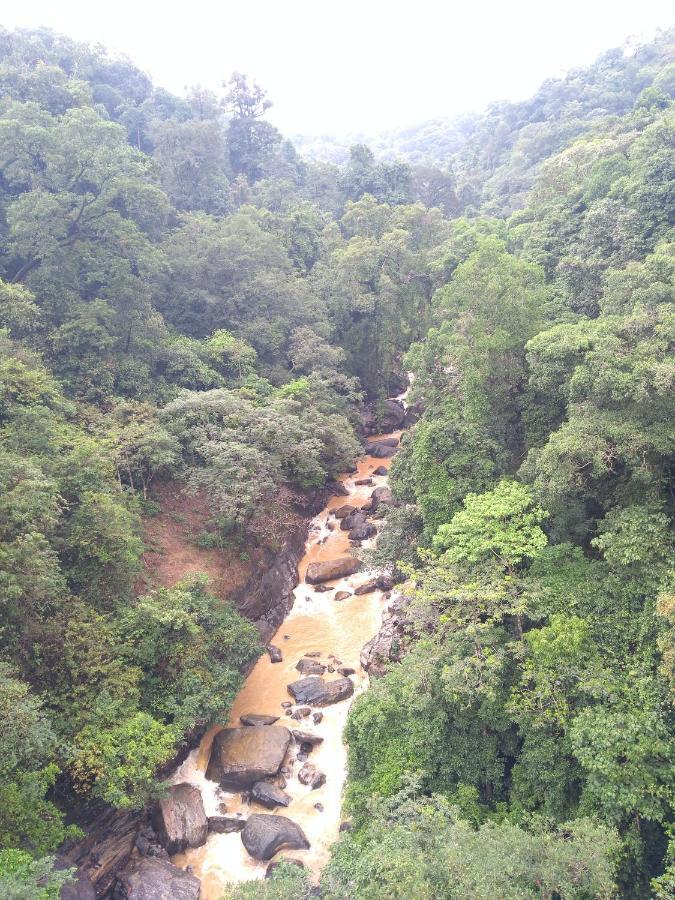 Mandaara Homestay Hongadahalla, Sakleshpur Exterior foto